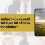 Đất nuôi trồng thủy sản hết thời hạn sử dụng có cần gia hạn không