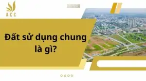 Đất sử dụng chung là gì