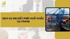 Dịch vụ xin giấy phép xuất khẩu tại TPHCM (1)