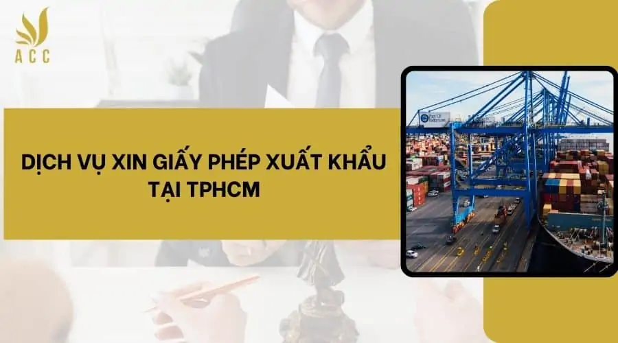 Dịch vụ xin giấy phép xuất khẩu tại TPHCM (1)