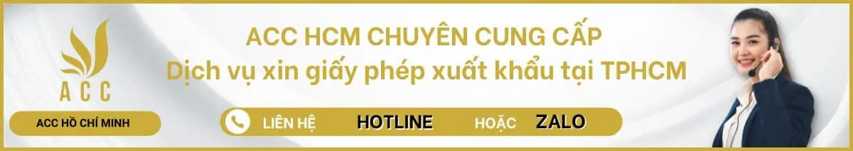 Dịch vụ xin giấy phép xuất khẩu tại TPHCM