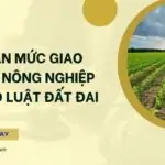 Hạn mức giao đất nông nghiệp theo Luật Đất đai