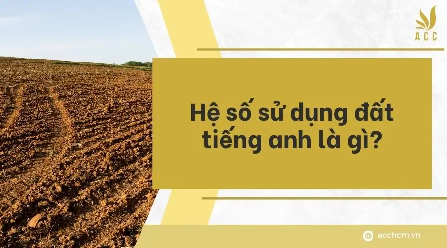 Hệ số sử dụng đất tiếng anh là gì?