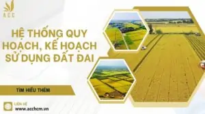 Hệ thống quy hoạch, kế hoạch sử dụng đất đai