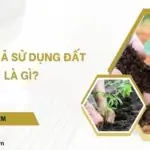 Hiệu quả sử dụng đất là gì