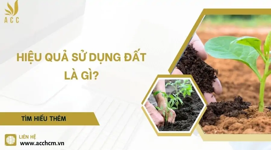 Hiệu quả sử dụng đất là gì