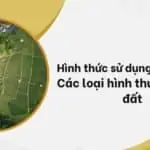 Hình thức sử dụng đất là gì Các loại hình thức sử dụng đất