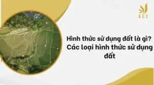 Hình thức sử dụng đất là gì Các loại hình thức sử dụng đất