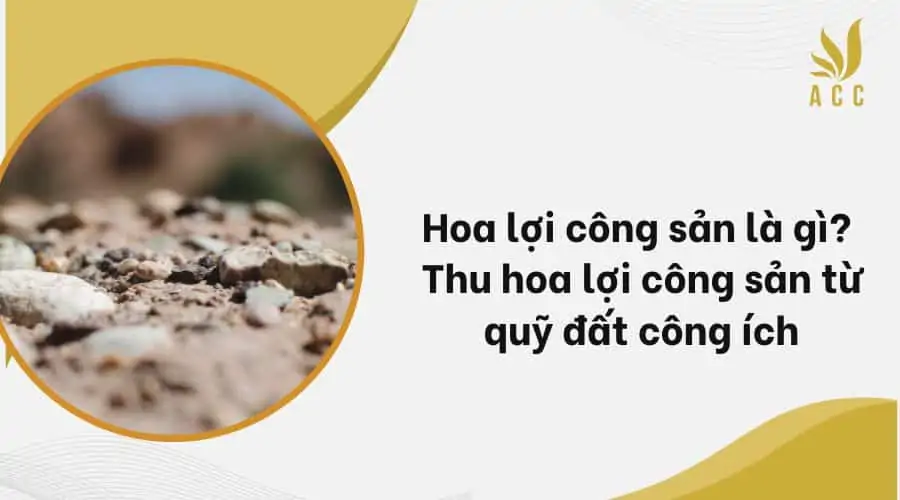 Hoa lợi công sản là gì Thu hoa lợi công sản từ quỹ đất công ích