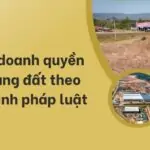 Kinh doanh quyền sử dụng đất theo quy định pháp luật