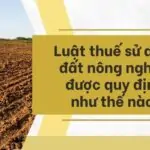 Luật thuế sử dụng đất nông nghiệp được quy định như thế nào