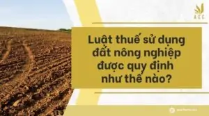 Luật thuế sử dụng đất nông nghiệp được quy định như thế nào