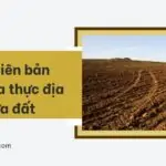 Mẫu biên bản kiểm tra thực địa thửa đất