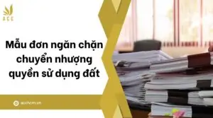 Mẫu đơn ngăn chặn chuyển nhượng quyền sử dụng đất