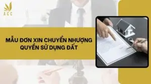 Mẫu đơn xin chuyển nhượng quyền sử dụng đất