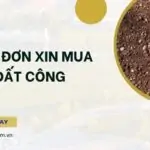 Mẫu đơn xin mua đất công