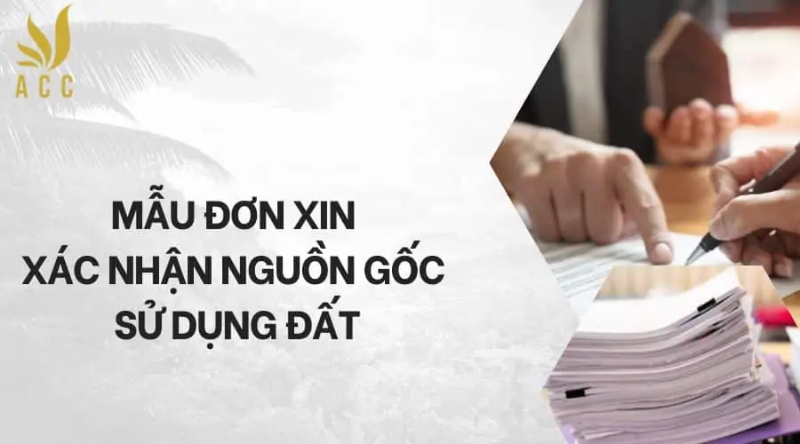 Mẫu đơn xin xác nhận nguồn gốc sử dụng đất