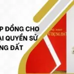 Mẫu hợp đồng cho thuê lại quyền sử dụng đất