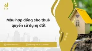 Mẫu hợp đồng cho thuê quyền sử dụng đất