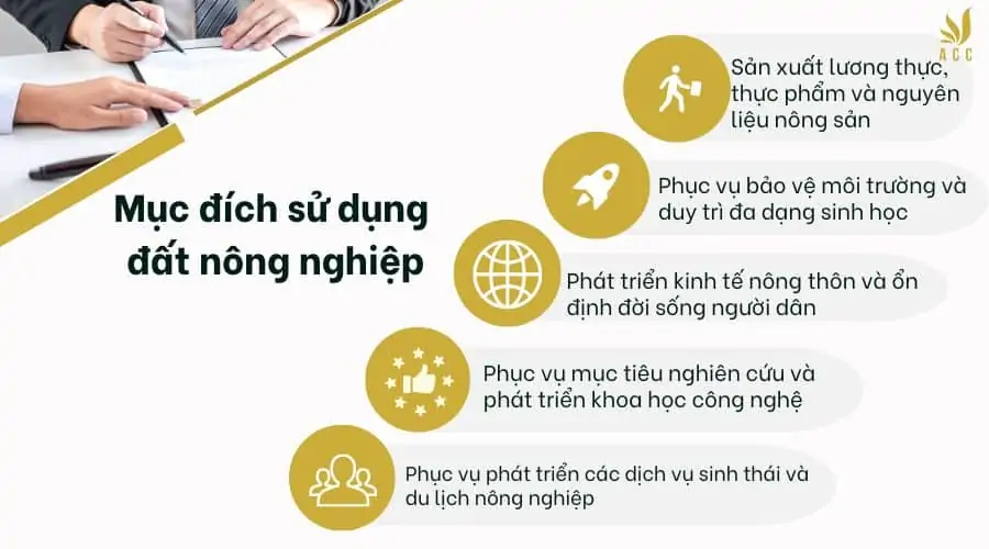 Mục đích sử dụng đất nông nghiệp