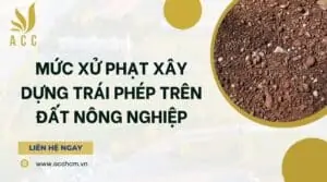 Mức xử phạt xây dựng trái phép trên đất nông nghiệp