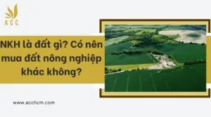 NKH là đất gì_ Có nên mua đất nông nghiệp khác không