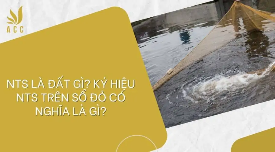 NTS là đất gì Ký hiệu NTS trên sổ đỏ có nghĩa là gì (1)