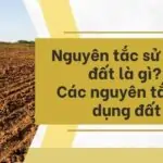 Nguyên tắc sử dụng đất là gì Các nguyên tắc sử dụng đất