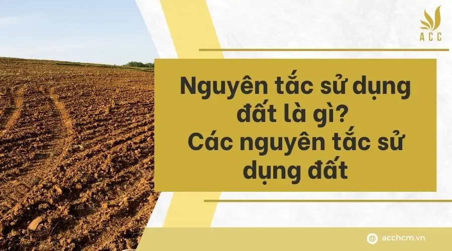 Nguyên tắc sử dụng đất là gì Các nguyên tắc sử dụng đất