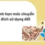 Quy định hạn mức chuyển mục đích sử dụng đất