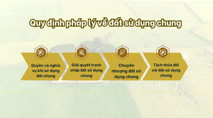 Quy định pháp lý về đất sử dụng chung