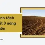 Quy định tách thửa đất ở nông thôn