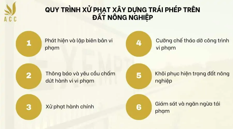 Quy trình xử phạt xây dựng trái phép trên đất nông nghiệp