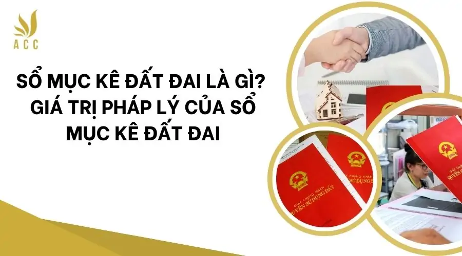 Sổ mục kê​ đất đai là gì? Giá trị pháp lý của sổ mục kê đất đai​