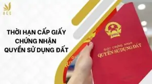 Thời hạn cấp giấy chứng nhận quyền sử dụng đất