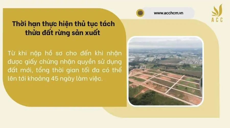 Thời hạn thực hiện thủ tục tách thửa đất rừng sản xuất