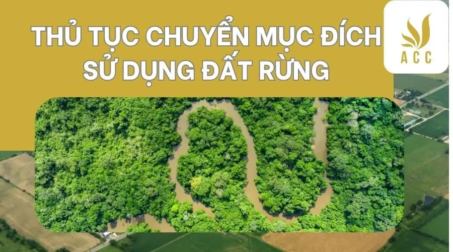 Thủ tục chuyển mục đích sử dụng đất rừng