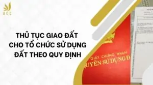 Thủ tục giao đất cho tổ chức sử dụng đất theo quy định