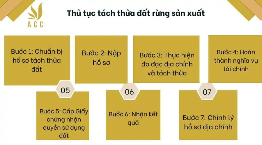 Thủ tục tách thửa đất rừng sản xuất (1)