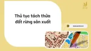 Thủ tục tách thửa đất rừng sản xuất