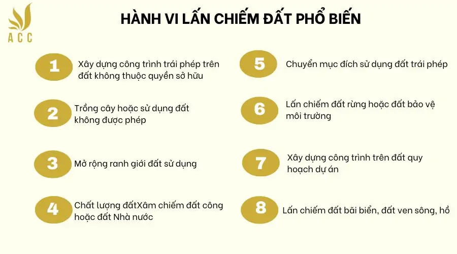 Hành vi lấn chiếm đất phổ biến