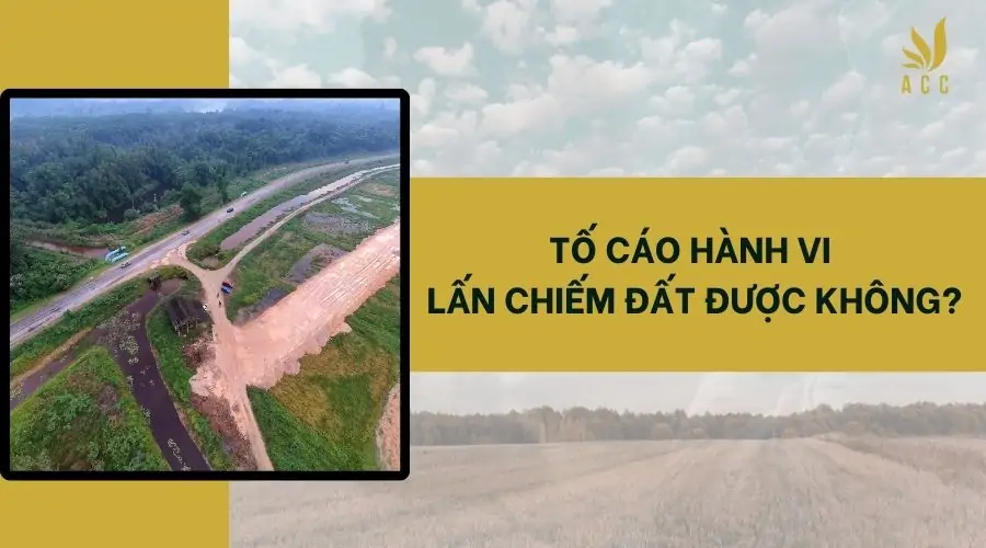 Tố cáo hành vi lấn chiếm đất được không?