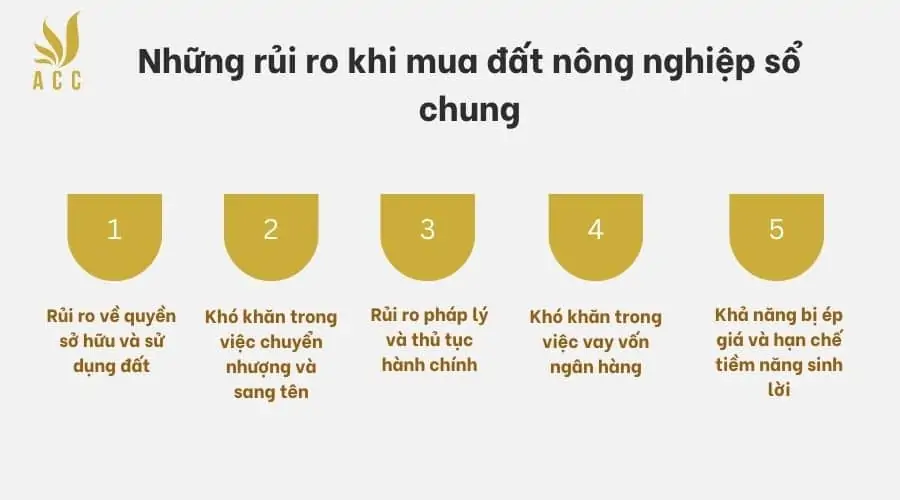 Những rủi ro khi mua đất nông nghiệp sổ chung 