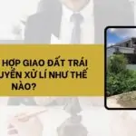 Trường hợp giao đất trái thẩm quyền xử lí như thế nào?