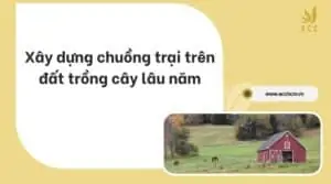 Xây dựng chuồng trại trên đất trồng cây lâu năm