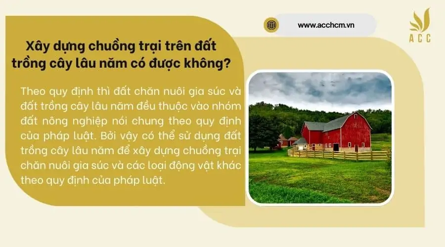 Xây dựng chuồng trại trên đất trồng cây lâu năm có được không