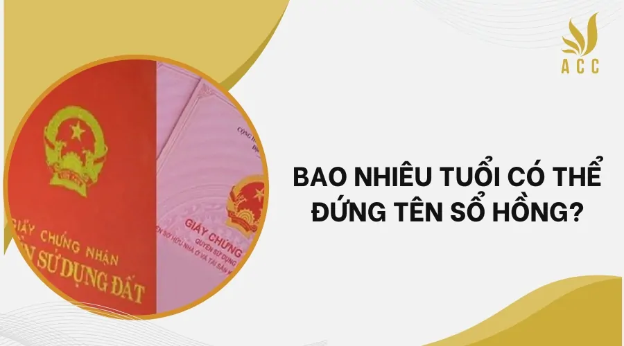 Bao nhiêu tuổi có thể đứng tên sổ hồng