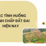 Các tình huống tranh chấp đất đai hiện nay