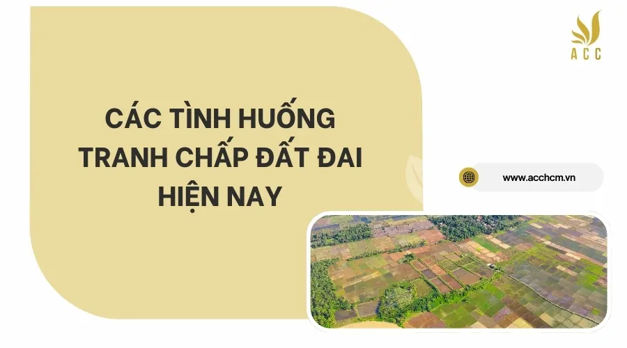 Các tình huống tranh chấp đất đai hiện nay