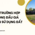 Các trường hợp không đấu giá quyền sử dụng đấtCác trường hợp không đấu giá quyền sử dụng đất